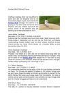 Fantasy MLB Pitchers Pickup