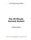 The-30-Minute-Success-System
