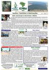 RBP N. 51