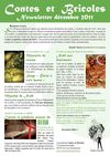 Newsletter Contes et Bricoles - décembre 2011