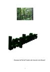 Projecte les plantes