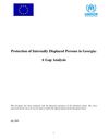 Protection of IDP in Georgia