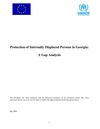 Protection of IDP in Georgia