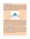 Diamond Rings are Better Partner