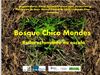 BOSQUE CHICO MENDES