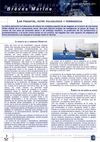 LAS FRAGATAS, ENTRE POLIVALENCIA Y PERMANENCIA