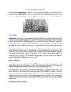 History and Culture of Florida