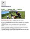 4. Chevauchée en Mongolie (Tsagaan Nuur - Tsenkher) 2012
