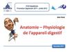 Anatomie - Physiologie de l'appareil digestif (2011)