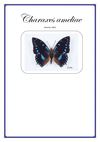 Timbres illustrant les papillons de l'espèce Charaxes ameliae
