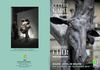 Haute-Normandie : Exposition Quentin Garel