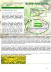 Feuille 12 ITAN - 2009-2