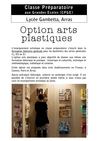 Option arts plastiques en classe préparatoire aux grandes écoles (cpge), lycée Gambetta d'Arras
