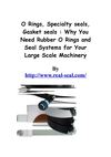 O rings, Rubber O rings : Why You Need Rubber O Rings and Seal Systems for Your Large Scale Machinery