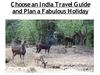 Choose an India Travel Guide and Plan a Fabulous Holiday