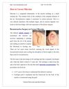 How to Correct Microtia