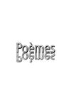 Goyard poèmes visuels : art contemporain Lyon, vernissage, exposition