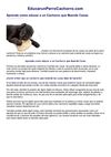 Aprende como educar a un Cachorro que Muerde Cosas