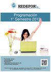 Programacion 1 semestre