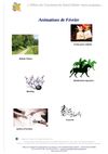 Calendrier des animations Février 2012