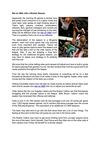 Bet on NBA with a Shorter Season
