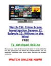 Watch CSI Crime Scene Investigation 12x12 Season 12 Episode 12 s12e12 Willows in the Wind