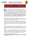 VIII Extraordinaria PANAL 26/07/2011