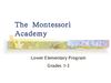 Lower Elementary Tea Presentation