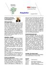 Newsletter CDU Kreistagsfraktion 01-12