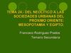 TEMA 24.- DEL NEOLÍTICO A LAS SOCIEDADES URBANAS DEL PRÓXIMO ORIENTE MESOPOTAMIA Y EGIPTO.