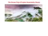 The Wonderful Holiday Dream Trip