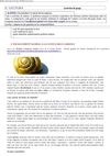 escalfament_global_i_cargols.doc