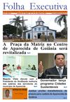 Jornal Folha Executiva - Edição 29 