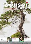BONSAI FOCUS #54 DE PREVIEW