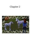 l'heritage chapitre 2