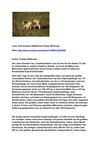 Löwe Tiere Animals SelMckenzie Selzer-Mckenzie