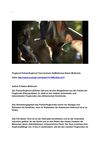 Flughund Palmenflughund Tiere Animals SelMcKenzie Selzer-McKenzie