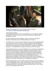 Flughund Palmenflughund Tiere Animals SelMcKenzie Selzer-McKenzie