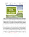 DLF Primus Garden City Gurgaon +91 9811 999 666 Property Gurgaon