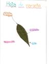 La hoja, músculos y el esqueleto 3. Trabajos alumnado. 5º Primaria.
