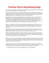 Practical Tips To Stop Barking Dogs