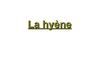 la hyène thomas 5B gp2