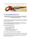 Hire DotNetNuke Developer London for Custom DNN Website Development Services