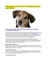 Why Having a Dog is Good for Your Health According to Igor Purlantov