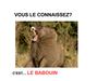 babouin nicolas louis 5a gp1
