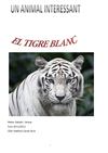 El tigre blanc