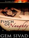 Pinch of Naughty by Gem Sivad (excerpt)