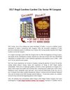DLF Regal Gardens Gurgaon +91 9811 999 666 New Project Gurgaon