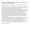 Establish A Corporate Credit Score Profile For The Company _ 1St Step - Chose The Correct Entity