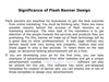 Significance of Flash Banner Design